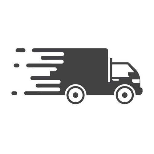 Fast &amp; insured shipping